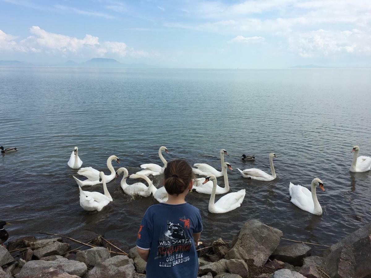 Villa Maximilian Balatonkeresztúr Extérieur photo